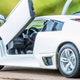 Illustration for article titled Murc Monday: Maisto Murcielago